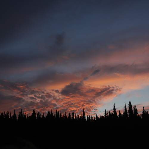 Photo #13744349