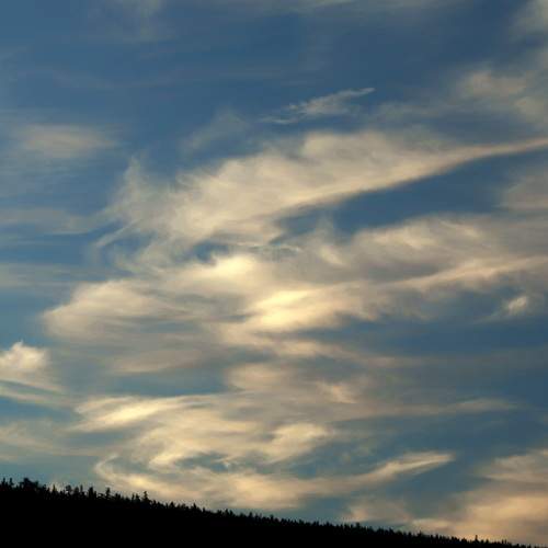 Photo #13744368