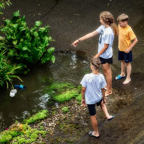 Photo #13744384