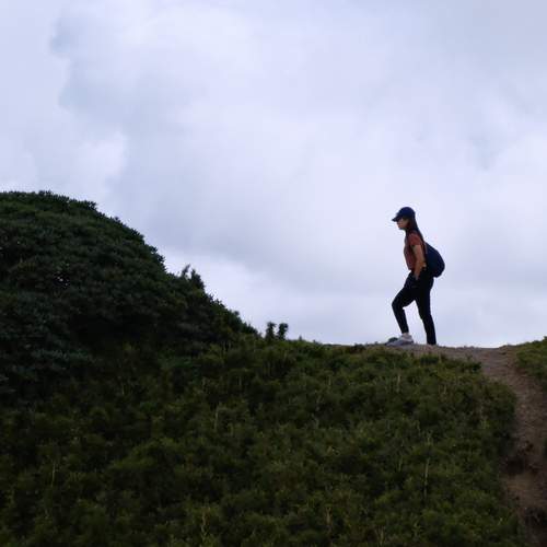 Photo #13744409