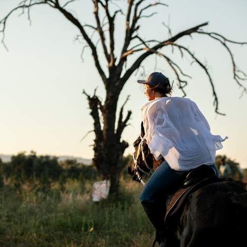 Photo #13744415