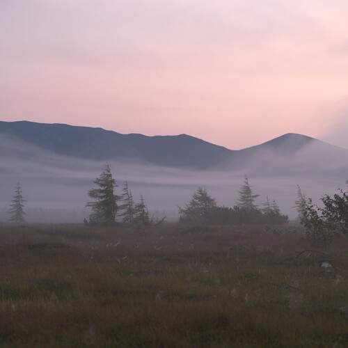 Photo #13744419