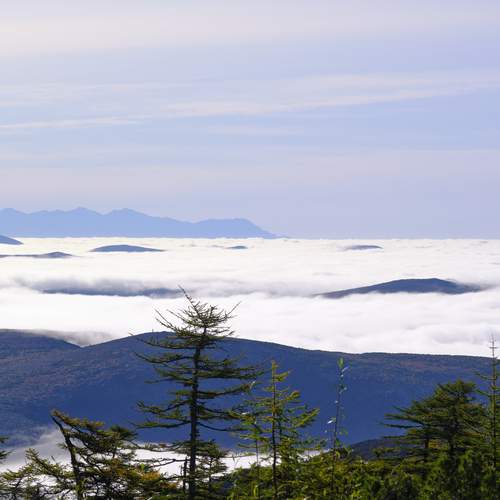 Photo #13744420
