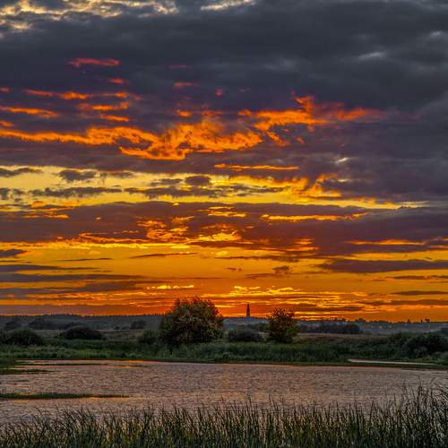 Photo #13744425