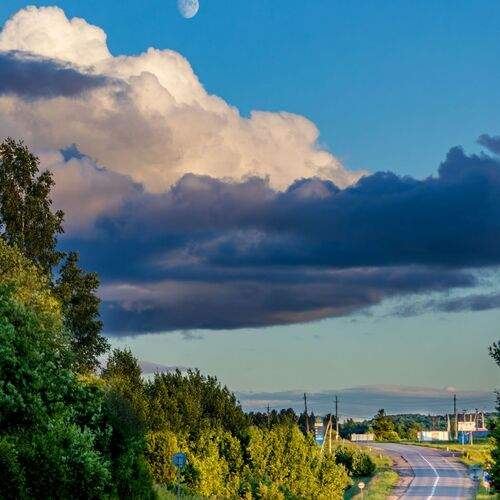 Photo #13744441
