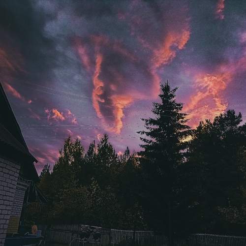 Photo #13744453