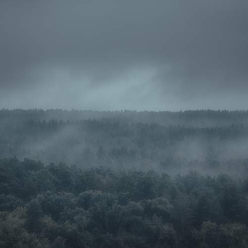 Photo #13744457