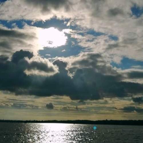 Photo #13744468