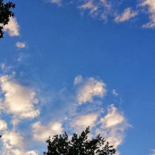 Photo #13744469