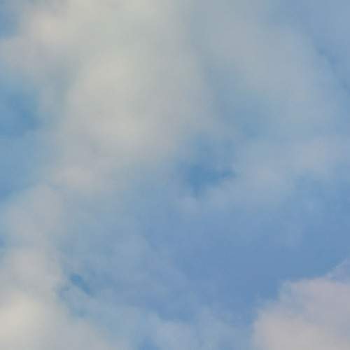 Photo #13744471