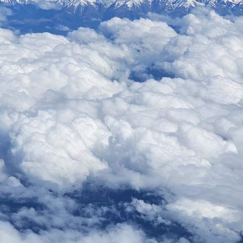Photo #13744482