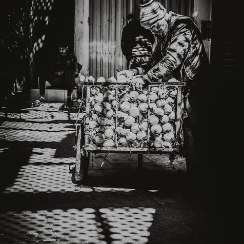 Photo #13744488