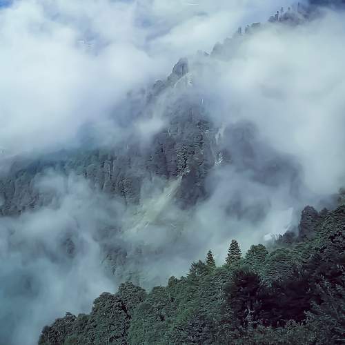 Photo #13744494