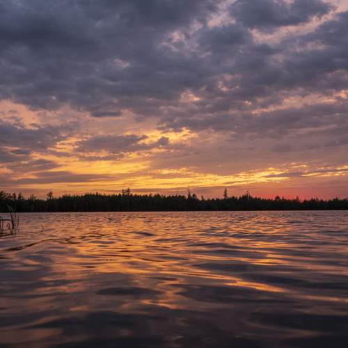 Photo #13744536