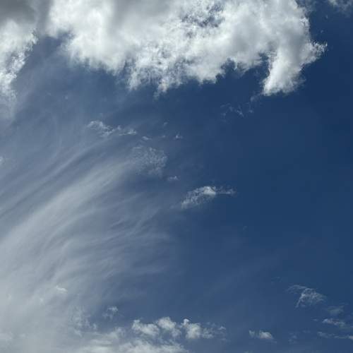 Photo #13744560