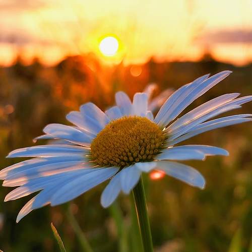 Photo #13744602