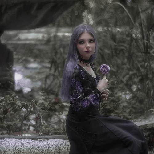 Photo #13744612