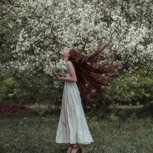 Photo #13744613