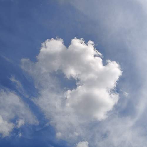 Photo #13744636