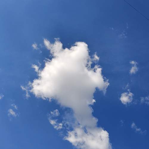 Photo #13744637