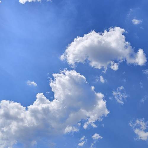 Photo #13744640