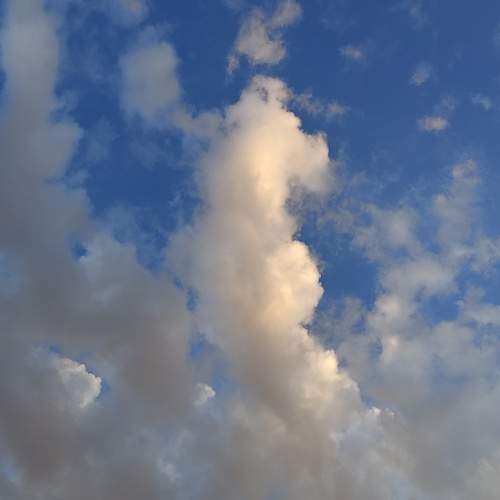 Photo #13744641