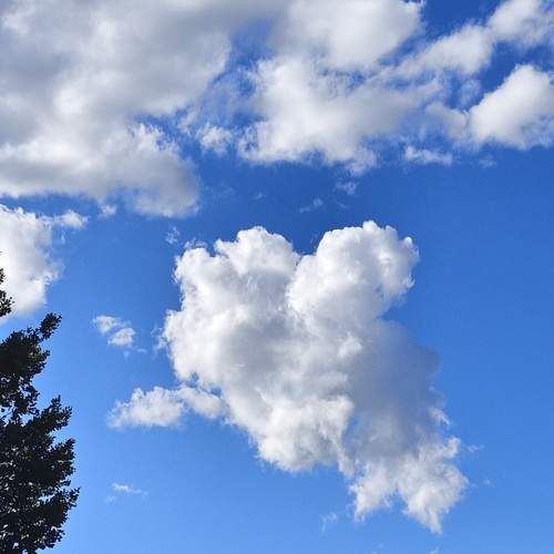 Photo #13744644