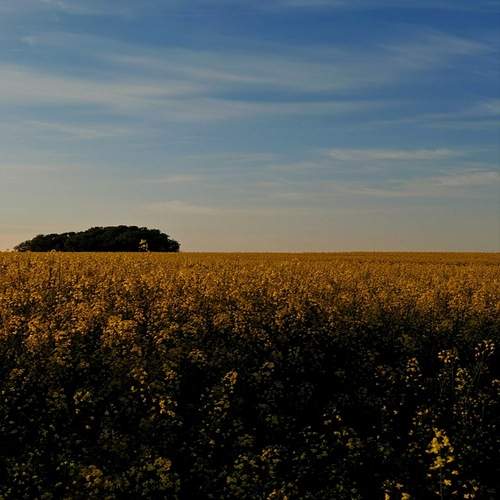 Photo #13744648