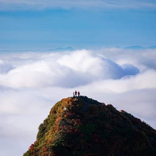 Photo #13744676
