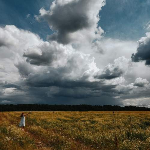 Photo #13744693