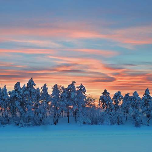 Photo #13744704