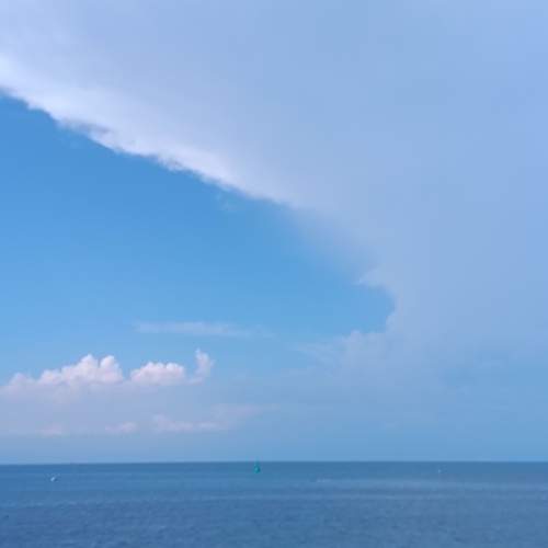 Photo #13744769