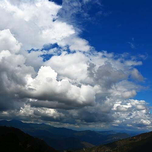 Photo #13744780