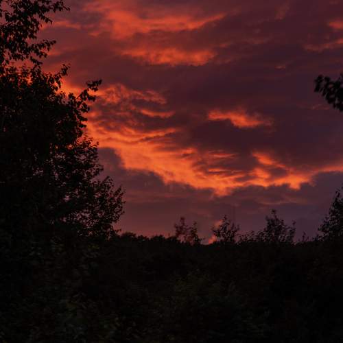 Photo #13744795