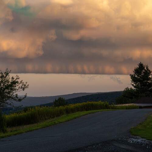 Photo #13744798