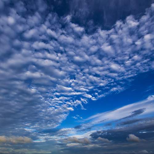Photo #13744803