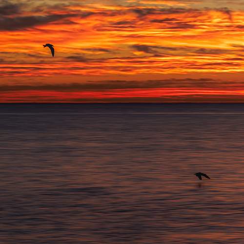 Photo #13744805