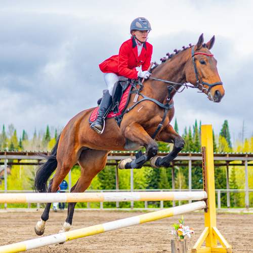 Photo #13744827