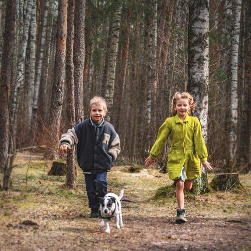 Photo #13744829