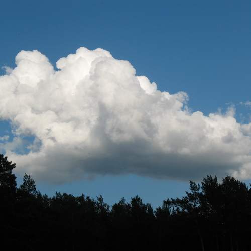 Photo #13744845