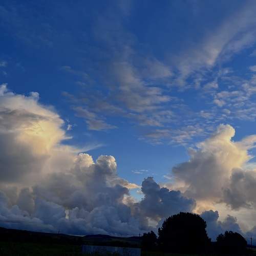 Photo #13744854