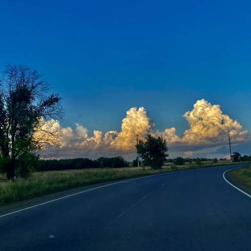 Photo #13744855