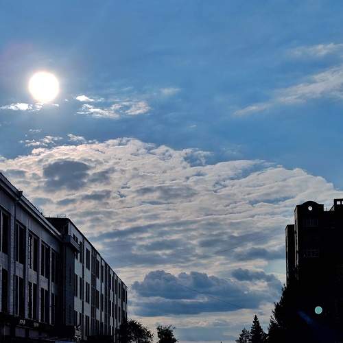 Photo #13744877