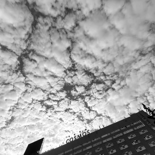 Photo #13744878