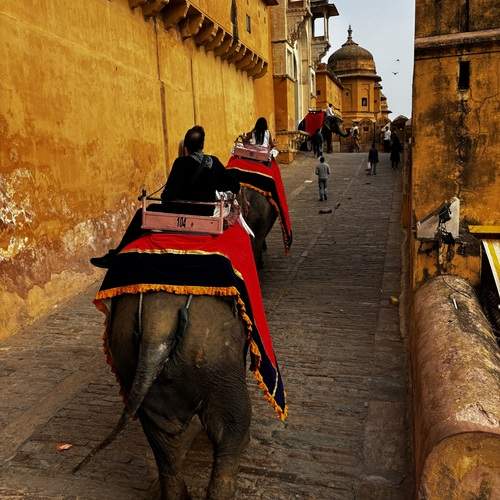 Photo #13744889