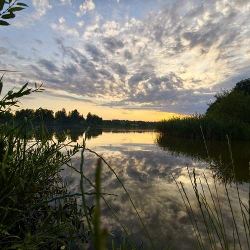 Photo #13744903