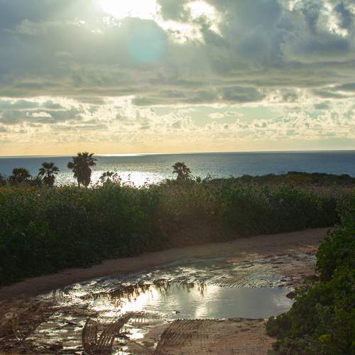 Photo #13744930