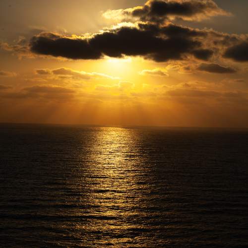 Photo #13744931