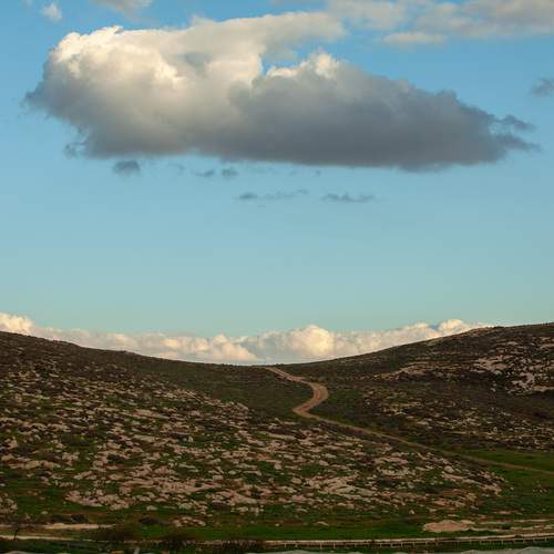 Photo #13744932