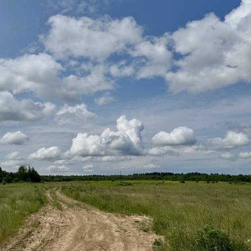 Photo #13744959